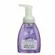 Germ-X Ultimate Antibacterial Foaming Hand Soap Lightly Lavender - 7.5 Oz