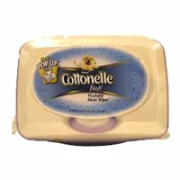 Cottonelle Fresh Flushable Pop-up Moist Wipes Tub - 42 ea / Pack, 16 / Case