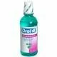Oral-B Anti Bacterial Anti Plaque Rinse - 16 Oz