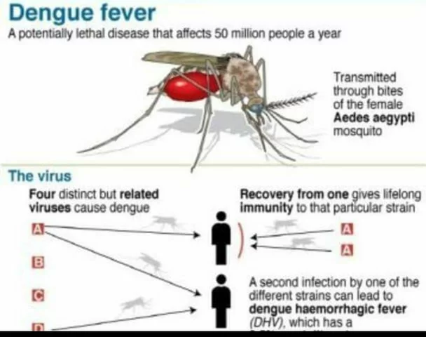 How albendazole is helping to control dengue fever